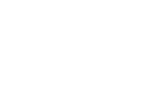 Sidecar Strategy – Your on-demand strategic growth partner Sidecar Strategy - Your on-demand strategic growth partner